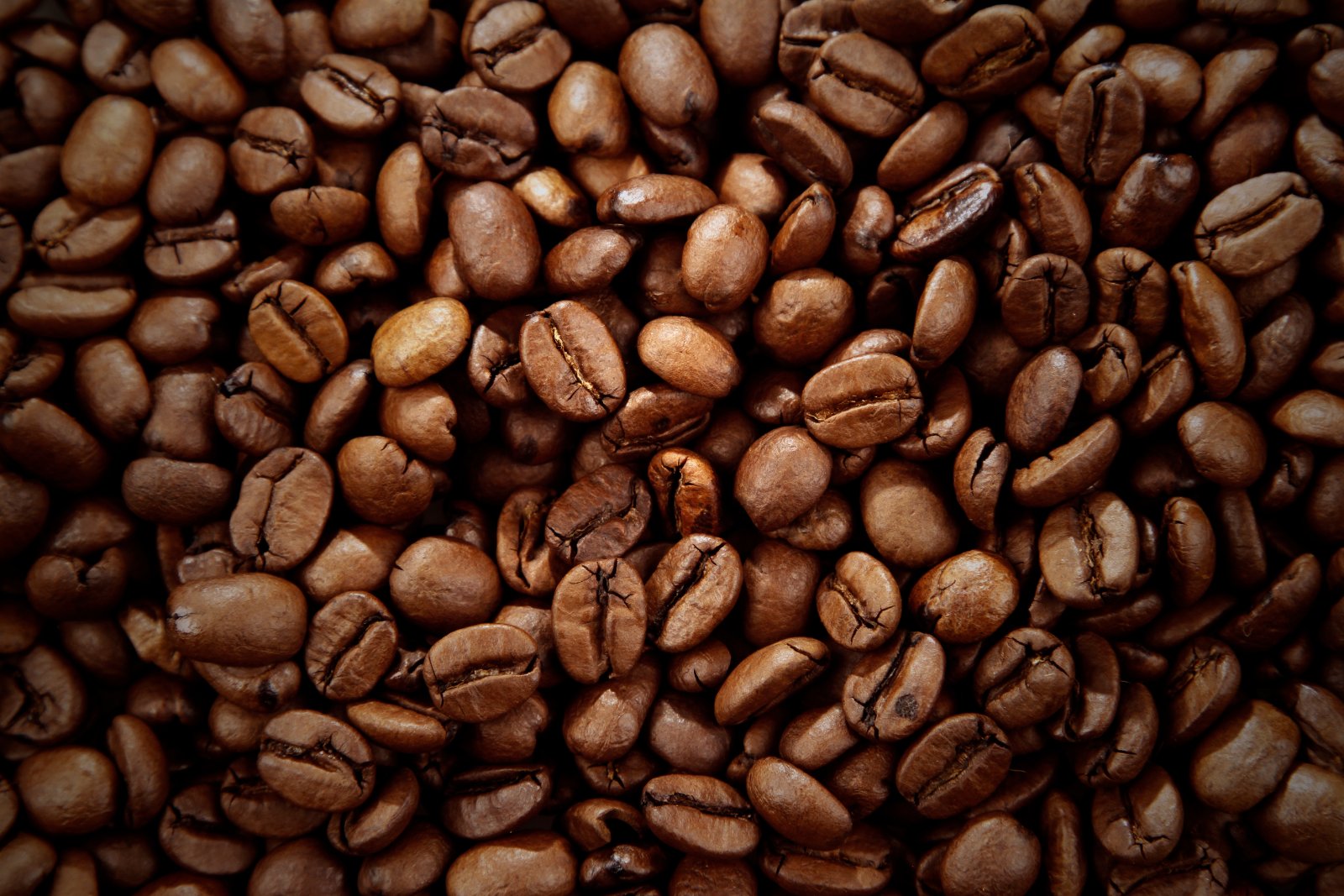 Cafeteras Hudson